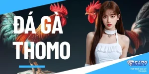 đá gà thomo
